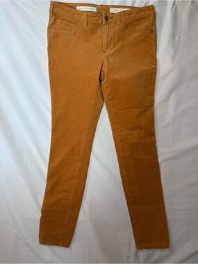 Pilcro Skinny Corduroy Pants in Rust